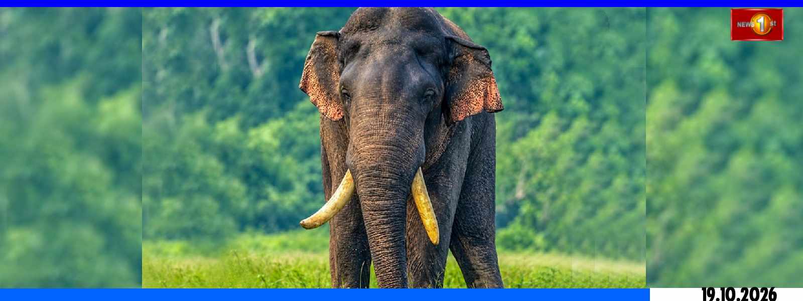 අග්බෝ සොයා හමුදා බලඇණියක් අඛණ්ඩ මෙහෙයුමක...